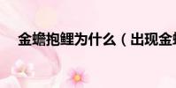 金蟾抱鯉為什么(出現金蟾抱鯉的原因)