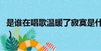 是誰在唱歌溫暖了寂寞是什么歌(歌詞是什么)