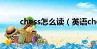 chess怎么讀(英語chess怎么讀)