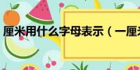 厘米用什么字母表示(一厘米等于多少米呢)