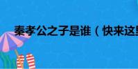 秦孝公之子是誰(快來這里科普知識了)