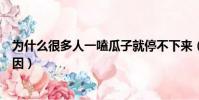 為什么很多人一嗑瓜子就停不下來(嗑瓜子就停不下來的原因)