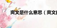 爽文是什么意思(爽文的意思介紹)