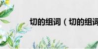 切的組詞(切的組詞有哪些)