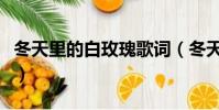 冬天里的白玫瑰歌詞(冬天里的白玫瑰歌簡介)
