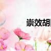 崇效胡同（關于崇效胡同簡介）