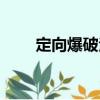 定向爆破法（關于定向爆破法介紹）