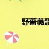 野薔薇歌詞（關于野薔薇的歌詞）