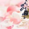 排合（關于排合簡介）