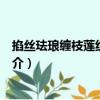 掐絲琺瑯纏枝蓮紋龍耳爐（關于掐絲琺瑯纏枝蓮紋龍耳爐簡介）