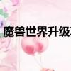 魔獸世界升級攻略（魔獸世界升級攻略揭秘）