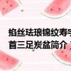 掐絲琺瑯錦紋壽字象首三足炭盆（關于掐絲琺瑯錦紋壽字象首三足炭盆簡介）