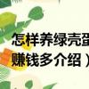 怎樣養綠殼蛋雞賺錢多（關于怎樣養綠殼蛋雞賺錢多介紹）