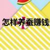 怎樣養蠶賺錢多（關于怎樣養蠶賺錢多介紹）