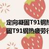 定向凝固T91鋼熱疲勞行為的模擬與實驗研究（關于定向凝固T91鋼熱疲勞行為的模擬與實驗研究介紹）