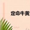 定命牛黃丸（關于定命牛黃丸介紹）