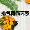 排氣再循環系統（關于排氣再循環系統簡介）