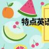 特點英語怎么說（特點英語解釋）