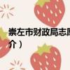 崇左市財政局志愿服務隊（關于崇左市財政局志愿服務隊簡介）