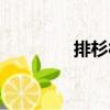 排杉村（關于排杉村簡介）