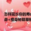 怎樣延長你的壽命+瘦身秘籍草稿本（關于怎樣延長你的壽命+瘦身秘籍草稿本介紹）