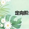 定向階段（關于定向階段介紹）