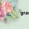 grass的復數（什么意思）