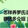 怎樣養羅氏沼蝦賺錢多（關于怎樣養羅氏沼蝦賺錢多介紹）