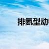 排氨型動物（關于排氨型動物簡介）