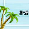 排受村（關于排受村簡介）
