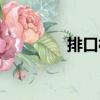 排口村（關于排口村簡介）
