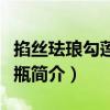 掐絲琺瑯勾蓮荸薺瓶（關于掐絲琺瑯勾蓮荸薺瓶簡介）