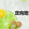 定向地雷（關于定向地雷介紹）