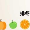 排冬菜（關于排冬菜簡介）