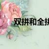 雙拼和全拼的區別（兩者有什么不同）