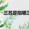 三蘇是指哪三個人（三蘇分別指的是誰呢）