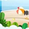 排橐（關于排橐簡介）