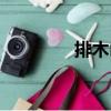 排木山（關于排木山簡介）