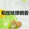 掐絲琺瑯銅香爐（關于掐絲琺瑯銅香爐簡介）