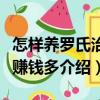 怎樣養羅氏治蝦賺錢多（關于怎樣養羅氏治蝦賺錢多介紹）