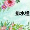 排水組織（關于排水組織簡介）