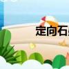 定向石墨（關于定向石墨介紹）