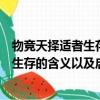 物競天擇適者生存是什么意思是形容什么的（物競天擇適者生存的含義以及啟發）