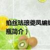 掐絲琺瑯夔鳳蝙蝠雙耳方瓶（關于掐絲琺瑯夔鳳蝙蝠雙耳方瓶簡介）