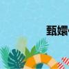 甄嬛傳介紹（甄嬛傳簡介）
