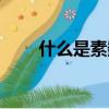 什么是素數算法（素數算法的解釋）