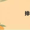 排槍（關于排槍簡介）