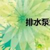 排水泵站（關于排水泵站簡介）