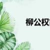 柳公權簡介（柳公權簡介介紹）