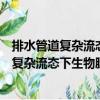 排水管道復雜流態下生物膜結構及反應特性（關于排水管道復雜流態下生物膜結構及反應特性簡介）